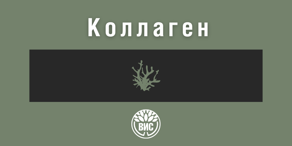 kollagen-gramotnyy-podkhod-k-vyboru-logo